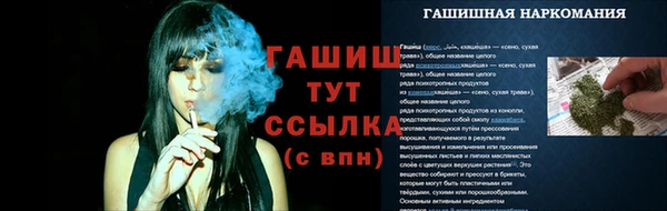 ПСИЛОЦИБИНОВЫЕ ГРИБЫ Медногорск