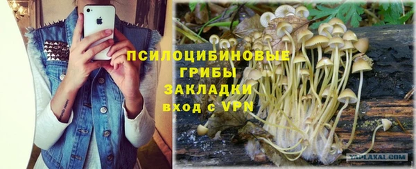 гашик Мегион