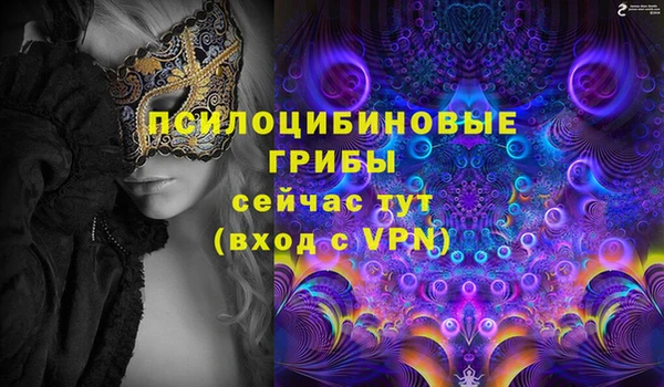 гашик Мегион
