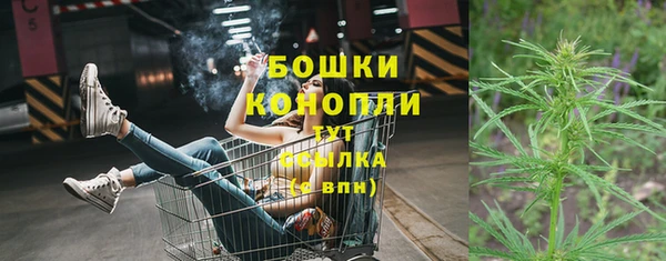 ПСИЛОЦИБИНОВЫЕ ГРИБЫ Медногорск