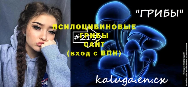 соль курить ск Медвежьегорск