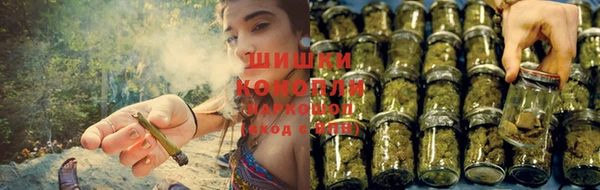 гашик Мегион