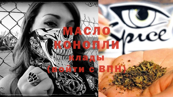 гашик Мегион