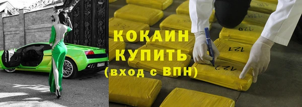 гашик Мегион
