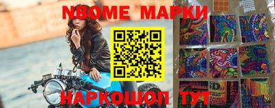 гашик Берёзовский