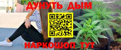 гашик Берёзовский