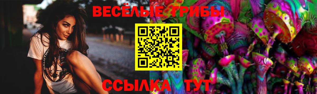 Псилоцибиновые грибы Psilocybe  Муром 