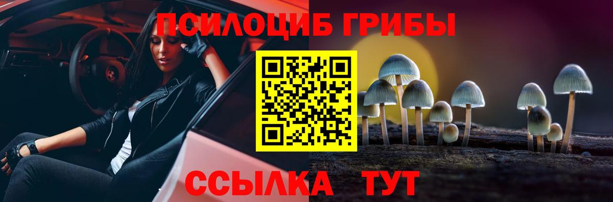 Муром  Галлюциногенные грибы Magic Shrooms  Вход с VPN 